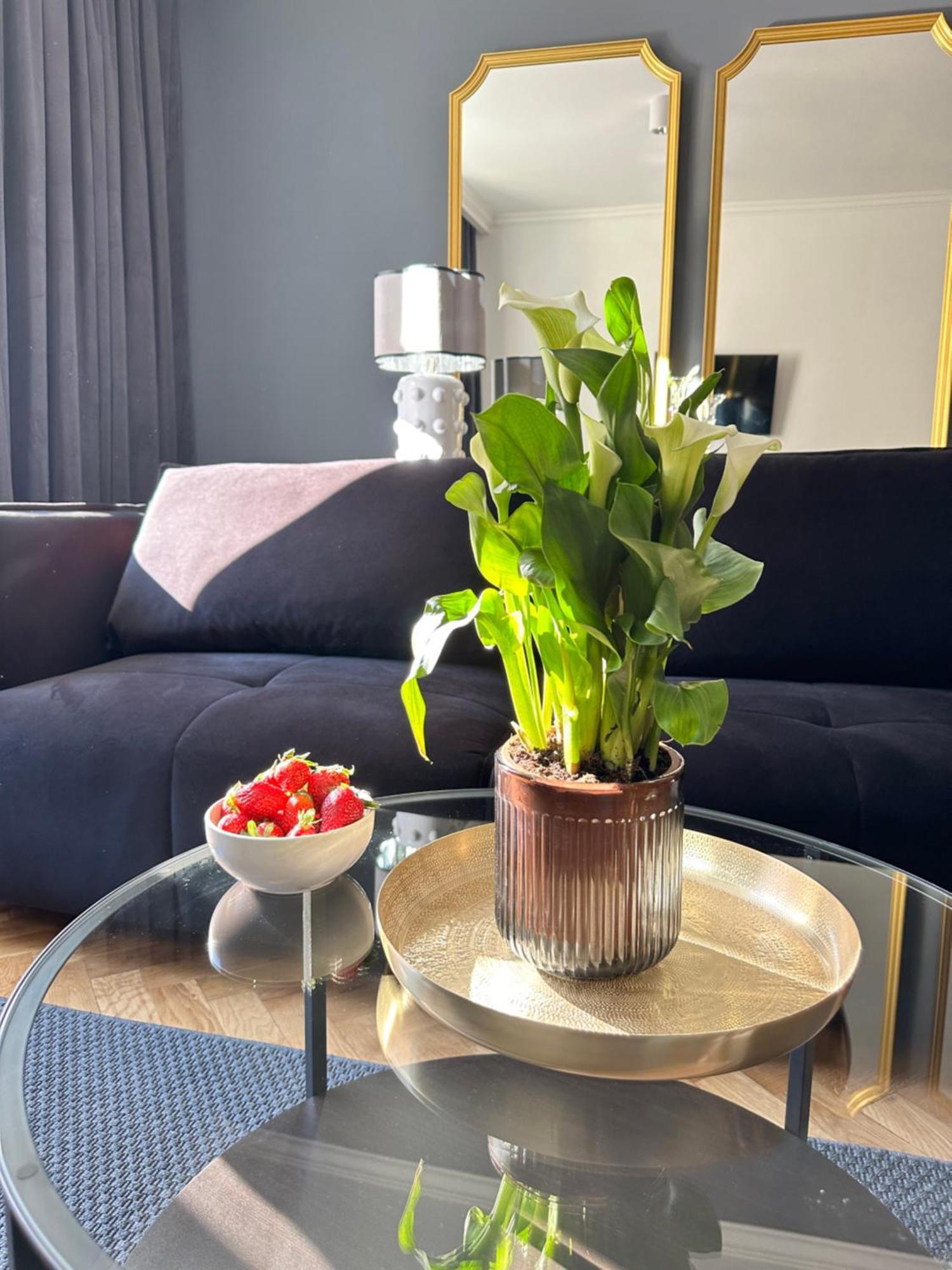 Main Square Apartments Sylvi 克拉科夫 外观 照片
