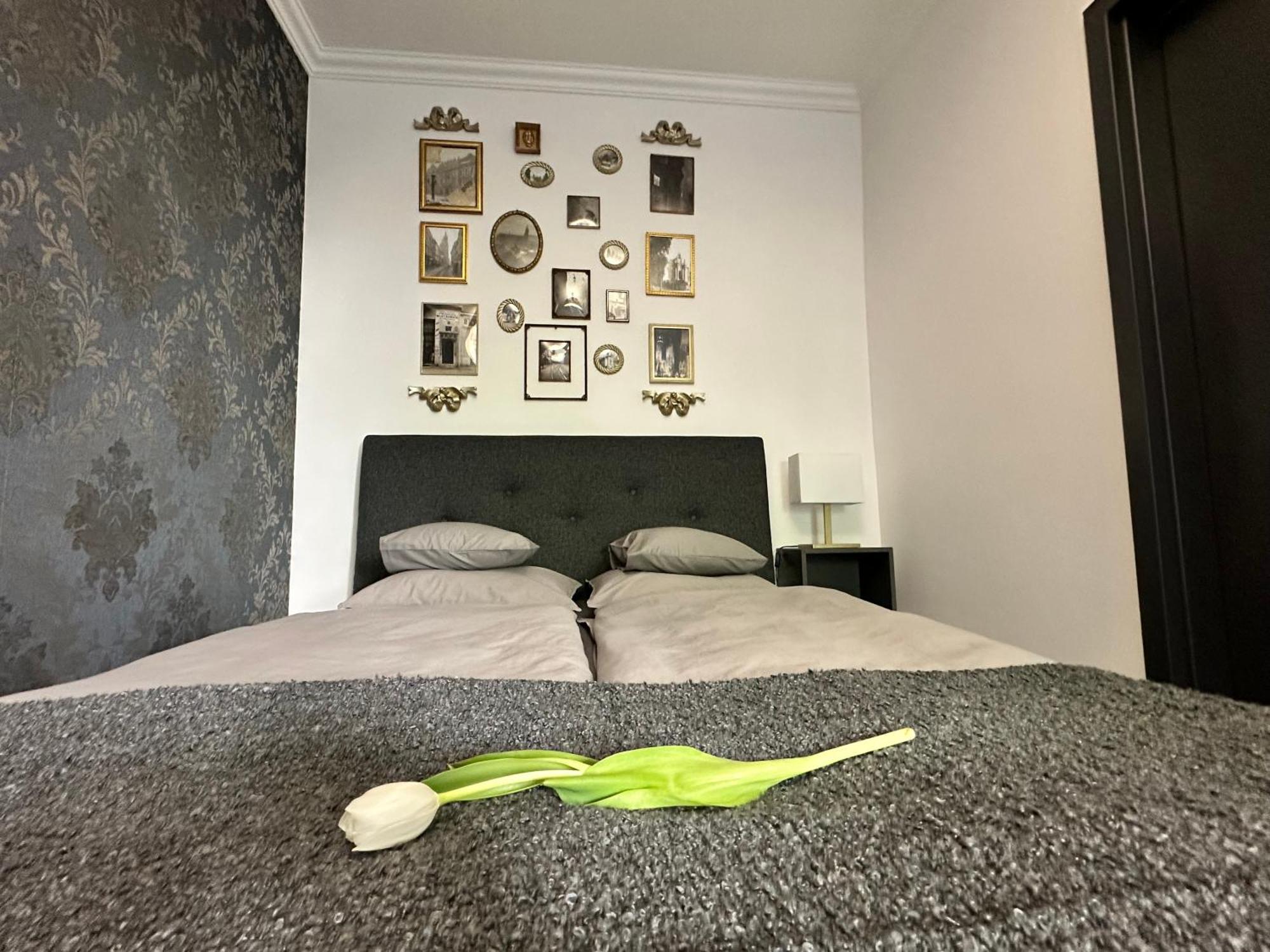Main Square Apartments Sylvi 克拉科夫 外观 照片